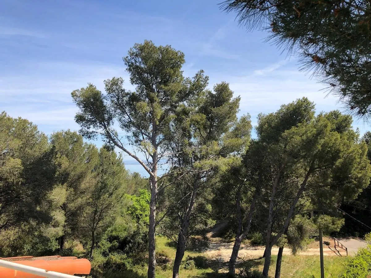 T3 Avec Grande Terrasse Et Jardin Sur Les Hauteurs De Martigues location
